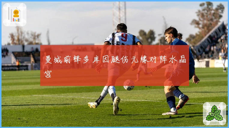 曼城前锋多库因腿伤无缘对阵水晶宫